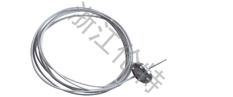 Anti-corrosion Thermocouple and RTD
