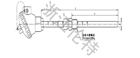 Thermocouple and RTD with Scale